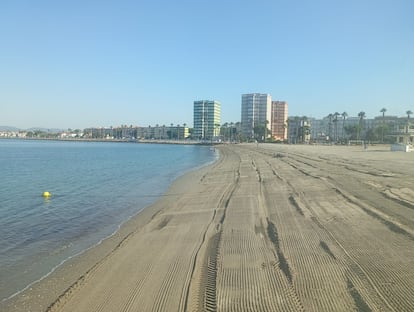 Aspecto de la playa de Poniente de La Línea de la Concepción tras la limpieza de alga invasora.