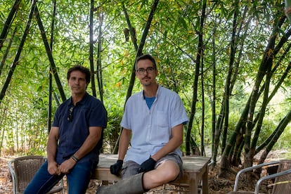 Manuel Trillo (left) and Antonio Vega-Rioja, in the non-invasive bamboo nursery created in Seville.