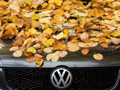 Hojas caídas de un árbol sobre un Volkswagen Polo en Hamburgo (Alemania).