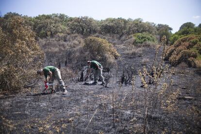 Una vez colocadas las banderas de direccionamiento del fuego, es más fácil ubicar el lugar de origen.