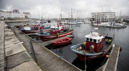 Los pocos pesqueros que fondean en la Marina de A Coruña, con el puerto deportivo y la casa de Amancio Ortega en O Parrote al fondo.