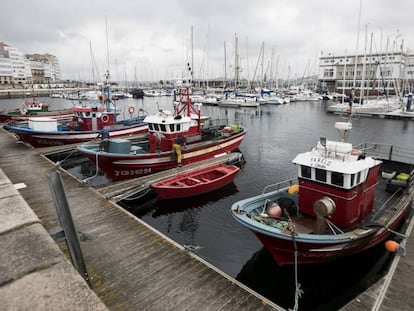 Los pocos pesqueros que fondean en la Marina de A Coruña, con el puerto deportivo y la casa de Amancio Ortega en O Parrote al fondo.