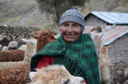 Doña Margarita, la hermana de don Ildefonso, sobrevive a sus 80 años en la cordillera gracias a la lana y la carne de sus alpacas. Como ella, la mayoría de habitantes de Caluyo pasan de los setenta años y contemplan como los jóvenes emigran en busca de nuevas oportunidades.
