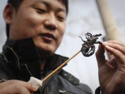 La Organización de Naciones Unidas para la Agricultura y la Alimentación (FAO) recuerda que los insectos son ya una fuente de proteínas que forma parte de la dieta de al menos 2.000 millones de personas y que tiene un potencial por explotar ya no solo como alimento, sino también como forraje. EFE/Archivo