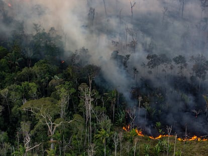 A forest fire near the city of Porto Velho in the state of Rondônia, Brazil