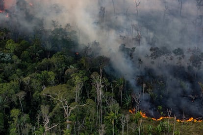 A forest fire near the city of Porto Velho, Brazil