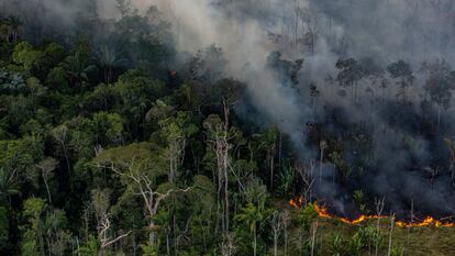 Un incendio forestal cerca de la ciudad de Porto Velho, en el Estado de Rondônia (Brasil).