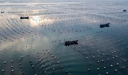 Vista general de pesqueros en la isla de Gouqi (China).