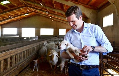 Pablo Casado, durante un acto de campaña.