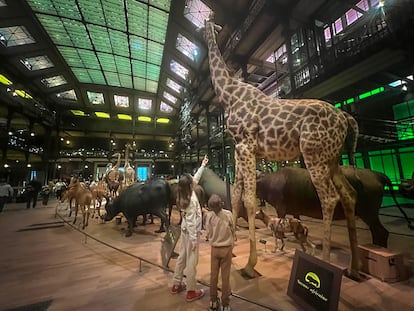 Daniela y Oliver, hijos de los autores del blog Molaviajar, en el Museo de Historia Natural, en París.