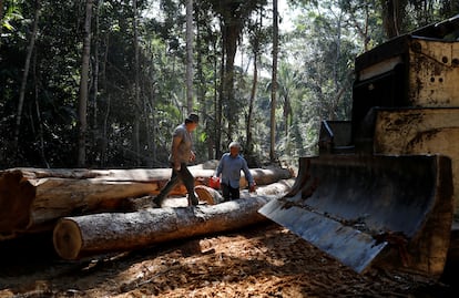 Unos operarios trabajan en la tala de árboles en el área de deforestación de Bom Retiro, cerca de Humaita, estado de Amazonas, Brasil, el 20 de septiembre de 2019.