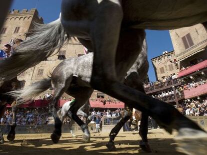 En la carrera Il Palio los caballos corren alrededor de la Piazza del Campo de Siena.