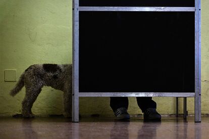 Las patas de un perro y los pies de su dueño se asoman detrás de un biombo en un centro de votación de Roma.