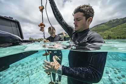 Titouan Bernicot, fundador de Coral Gardeners, en uno de los viveros de su organización.