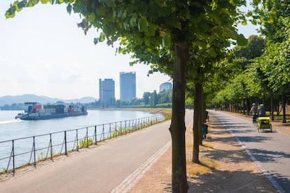 Esta ruta siguiendo el curso del Rin es adecuada para ciclistas de cualquier edad y condición física. Además, está integrada en rhinecycleroute.eu