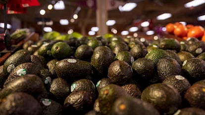 Aguacates provenientes del Estado de Michoacán son vendidos en un supermercado en Bloomington (EE UU), en febrero de 2022.