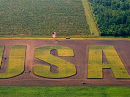Un campo de trigo en el Estado de Nueva York con las siglas USA en recuerdo de 11-S.