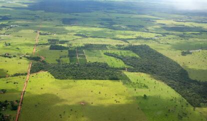 La selva amaz&oacute;nica, como este paisaje del Mato Grosso, presenta cada vez m&aacute;s calvas.
