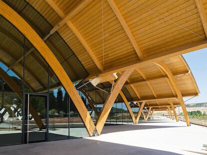 Bodegas que atraen (y no solo por el vino)