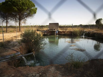 Una balsa de agua obtenida de un pozo ilegal, en 2013