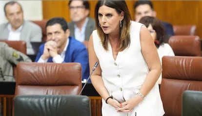 La portavoz del PSOE-A, Ángeles Férriz, durante su interpelación a la consejera de Hacienda, Carolina España, en el Parlamento andaluz. / JOAQUÍN CORCHERO (EP)
