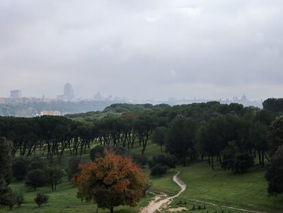 Vista de Madrid desde una altura de la Casa de Campo. 