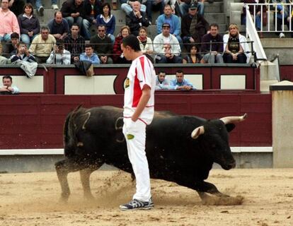 Alberto García, en Las Ventas, en sus tiempos de recortador.