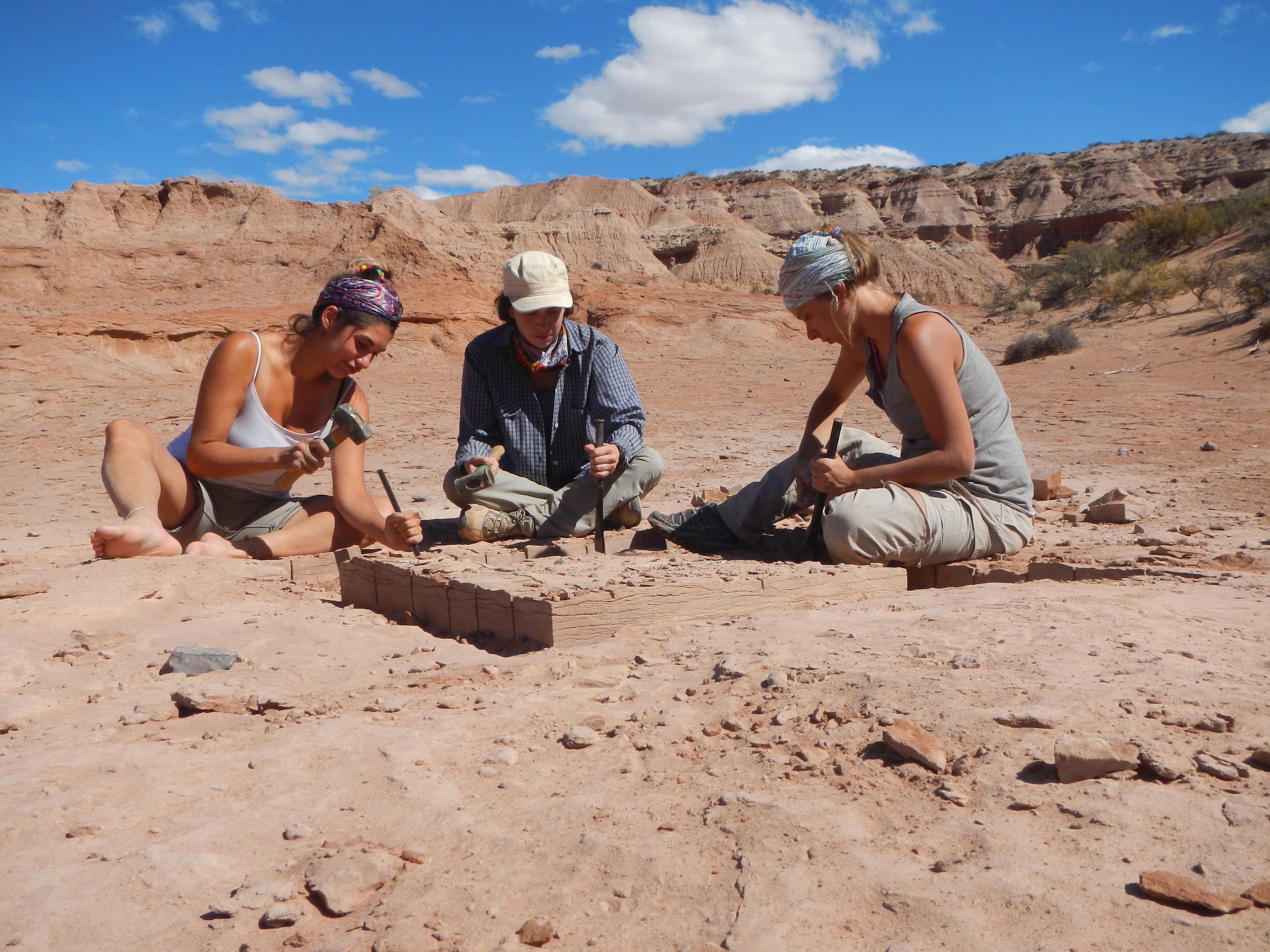 Un equipo científico trabajó días en la extracción del fósil, en el área paleontológica de La Buitrera.
