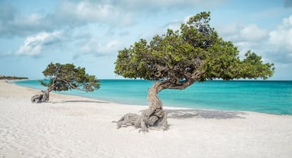 Otro arenal caribeño completa los cinco primeros puestos de esta lista. Eagle Beach es el más ancho de la isla de Aruba. Conocida por su suave arena blanca y sus característicos árboles fofoti, cuenta con parking, algunas casetas y diversas empresas para realizar deportes acuáticos. “Aguas tranquilas y cristalinas, sin rocas ni algas. La playa se extiende hasta donde alcanza la vista”, escribe un usuario de la red social. <br></br>Más información: aruba.com/es