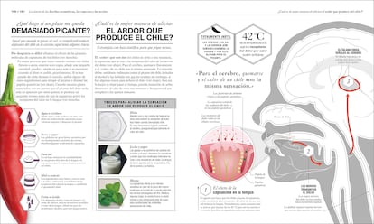 Interior de 'Cocinología', del Dr. Stuart Farrimond (DK Editorial).