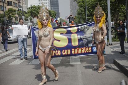 Protesta en la Ciudad de México el pasado junio tras la aprobación de la reforma que prohíbe animales en los circos.