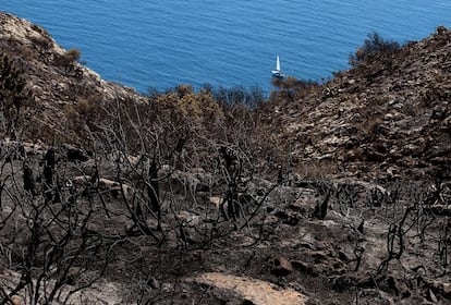 Las laderas en la zona del faro de la zona del faro de San Antonio han quedado reducidas a cenizas.