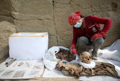 Una momia de más de mil años hallada en el sitio de Cajamarquilla, Perú