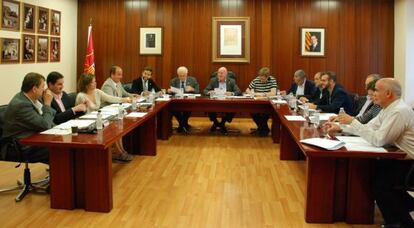 El ple del Consell General d'Aran, el 14 d'agost passat.