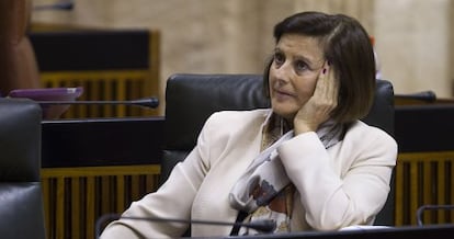 María José Sánchez Rubio, consejera de Salud, en un pleno del Parlamento.