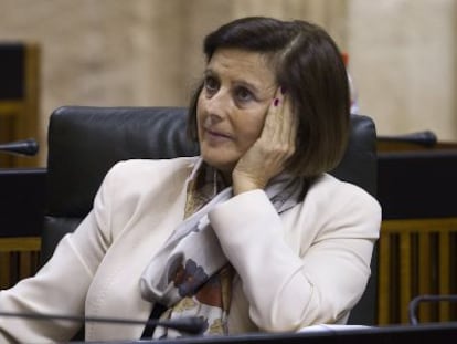 Mar&iacute;a Jos&eacute; S&aacute;nchez Rubio, consejera de Salud, en un pleno del Parlamento.