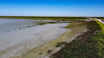 Vista aérea de la finca Veta la Palma, en la marisma de Doñana, en 2021. / CARLOS RUIZ (ESTACIÓN BIOLÓGICA DE DOÑANA)