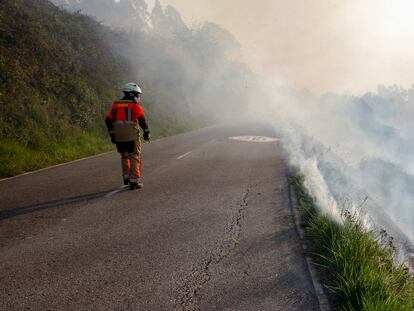 Un bombero observa la columna de humo del incendio registrado en el monte Naranco de Oviedo a finales de marzo.