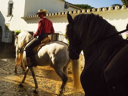 Antonio Domecq Domecq, ex rejoneador, montando a caballo en su finca.