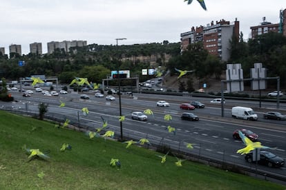 Una bandada de cotorras alza el vuelo en la orilla de la M-30.