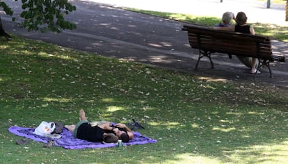 Lo mejor para combatir el calor, refugiarse en la sombra y retozar