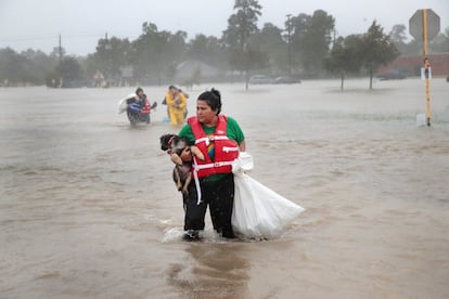 Una mujer, obligada a abandonar su hogar, carga con su mascota y sus pertenencias a través de una zona inundada debido al huracán Harvey, en Houston.