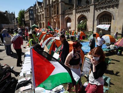 Estudiantes de la Universidad de Cambridge acampan en solidaridad con Palestina, este jueves.