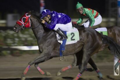 Carrera nocturna en el hipódromo de Mijas.