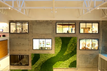Ventanales y una aplicación de césped vertical en una de las paredes interiores de la oficina de Arbnb en San Francisco.