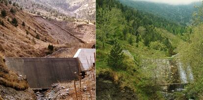 Dique de un torrente en La Casassa. Molló (Girona). Autor: J.L. Molina (1980). El mismo dique, en 1997.