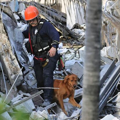 Fire rescue personnel conduct a search and rescue with dogs through the rubble of the Champlain Towers South Condo after the multistory building partially collapsed in Surfside, Fla., Thursday, June 24, 2021.  (David Santiago/Miami Herald via AP)