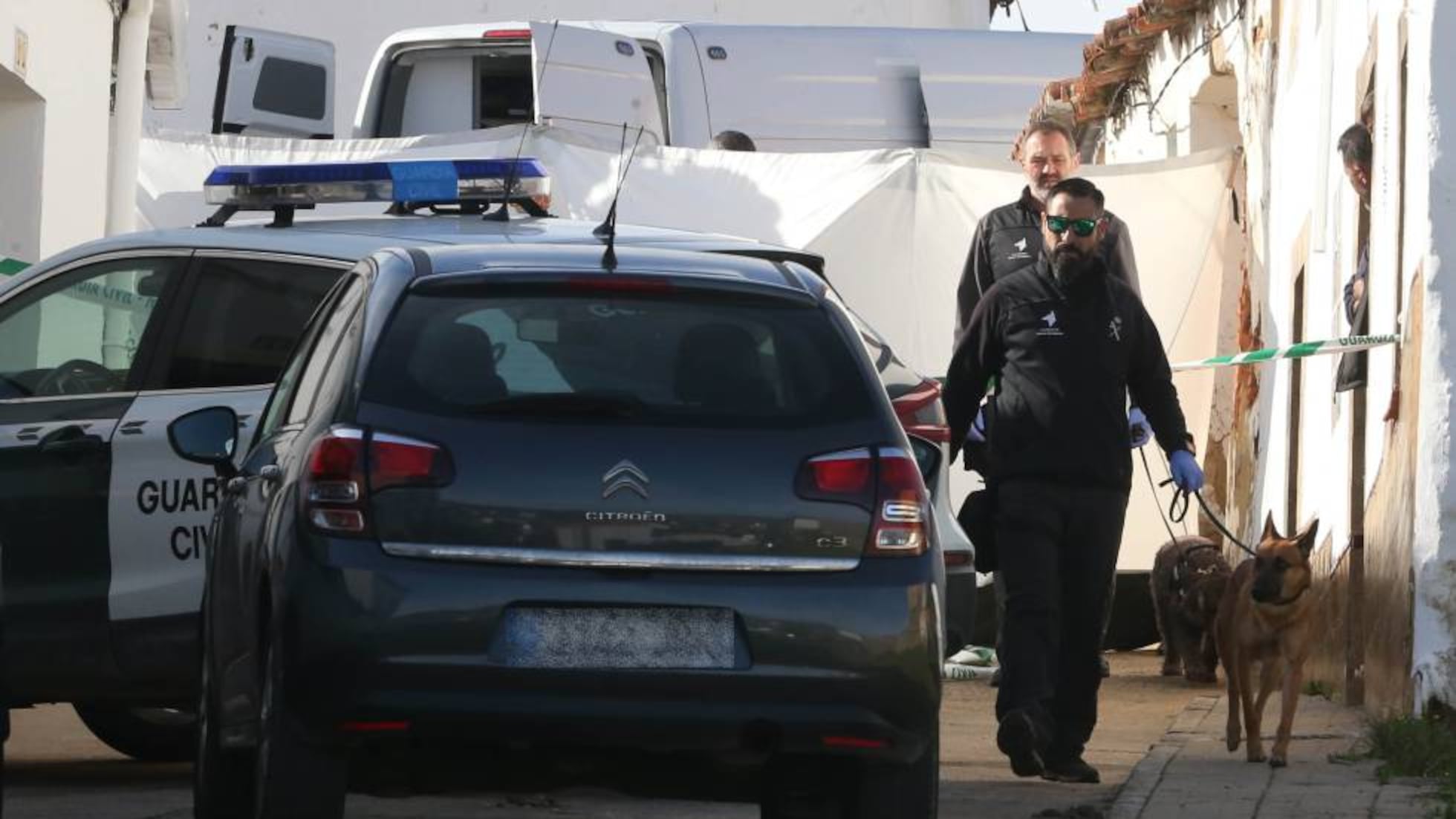 Exclusivo: 1 perro, lur, ayudó a esclarecer el crimen de su dueño. 2 Marley' y 'athor', dos 'sabuesos' para desentrañar un crimen | sociedad | el país