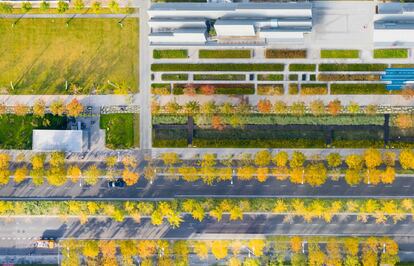 El parque Xuhui Runway de Shanghái ha convertido la última pista (operativa hasta 2011) del histórico aeropuerto de Longhua —único aeródromo civil de la ciudad hasta 1949— en un jardín lineal de casi dos kilómetros de longitud que invita a aislarse del frenético ritmo de la megalópolis china. Culminado en abril de 2020, este premiado proyecto de revitalización urbana a cargo de la firma internacional de arquitectura y diseño Sasaki traza a orillas del río Huangpu una conexión entre su pasado reciente —pues conserva partes del pavimento original de la pista de aterrizaje, incluidas las marcas de dirección para aviones— y el futuro de sostenibilidad ambiental al que aspira la urbe. Además de carriles para bicis y peatones, el parque dispone de una arboleda para la observación de aves, un jardín-auditorio, una fuente interactiva para niños o diversos hábitats de vida silvestre (con plantas nativas del delta del río Yangtsé) que incluyen una zona de humedal. En total, acoge 82 especies vegetales y 2.227 árboles que sombrean más del 68% de la extensión de este alargado y verde espacio para el esparcimiento urbano.