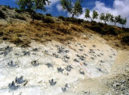 Yacimiento paleomtológico de icnitas (huellas de dinosaurios), en Los Cayos, Cornago (La Rioja)